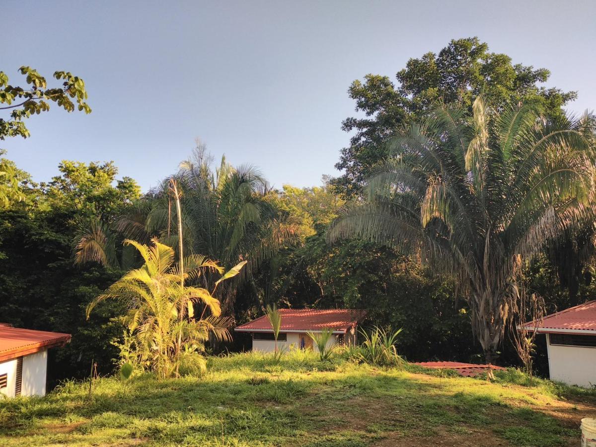 Selva Linda Lodge Vacation Rentals Quepos Exteriér fotografie