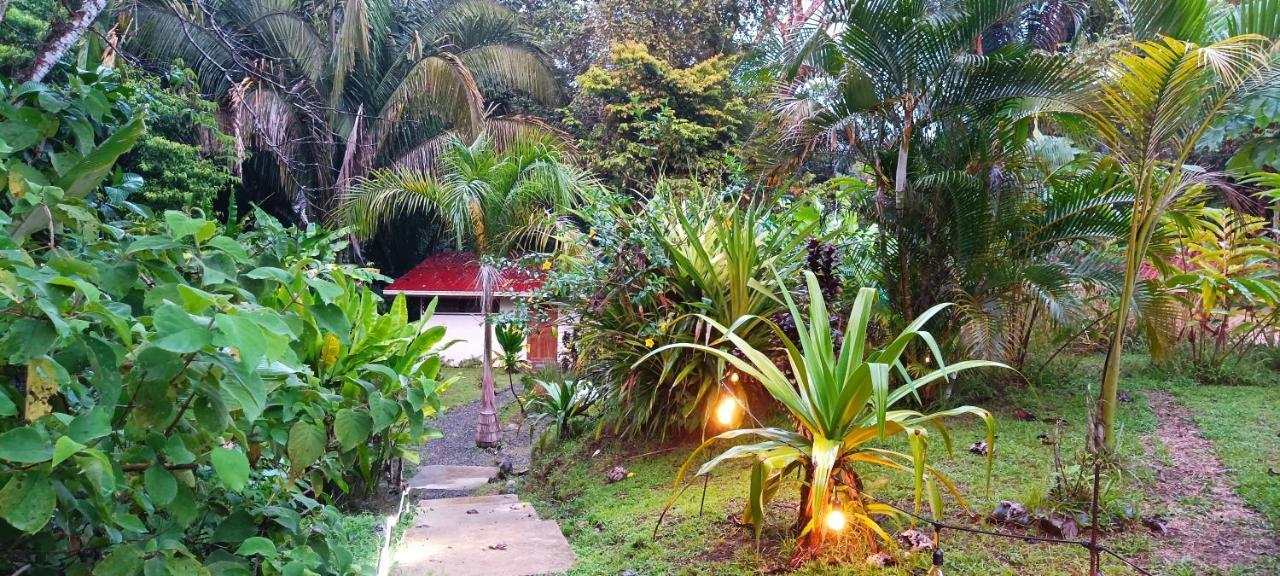 Selva Linda Lodge Vacation Rentals Quepos Exteriér fotografie