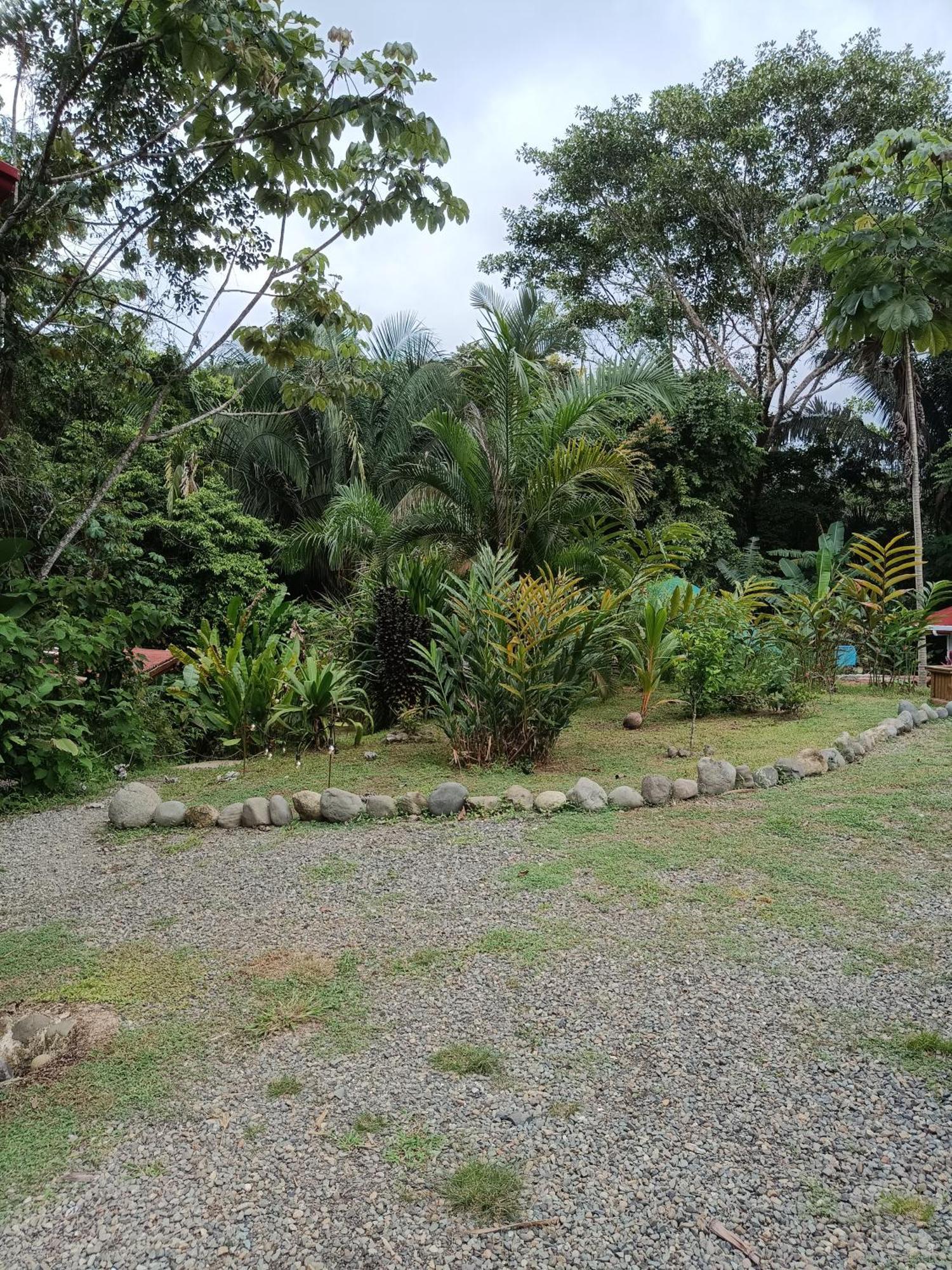 Selva Linda Lodge Vacation Rentals Quepos Exteriér fotografie