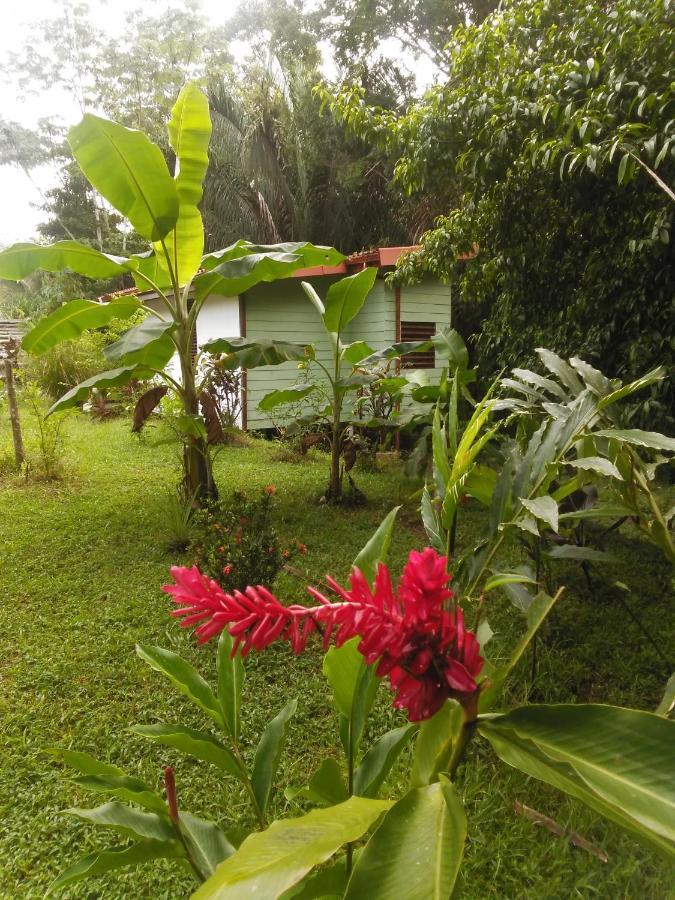 Selva Linda Lodge Vacation Rentals Quepos Exteriér fotografie