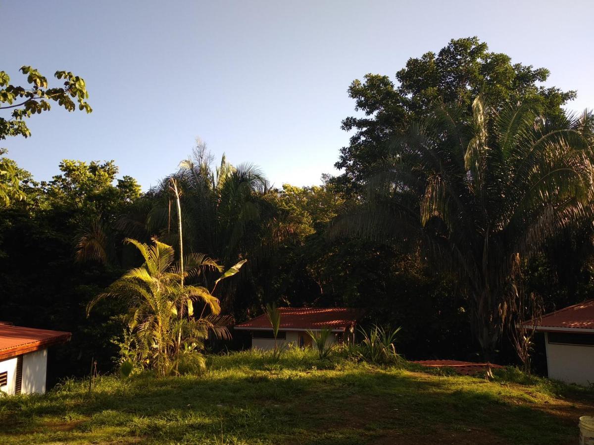 Selva Linda Lodge Vacation Rentals Quepos Exteriér fotografie